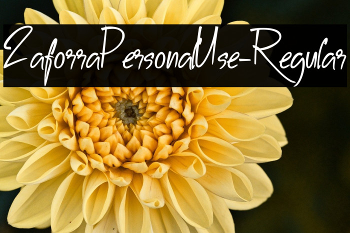 ZaforraPersonalUse-Regular Example 1