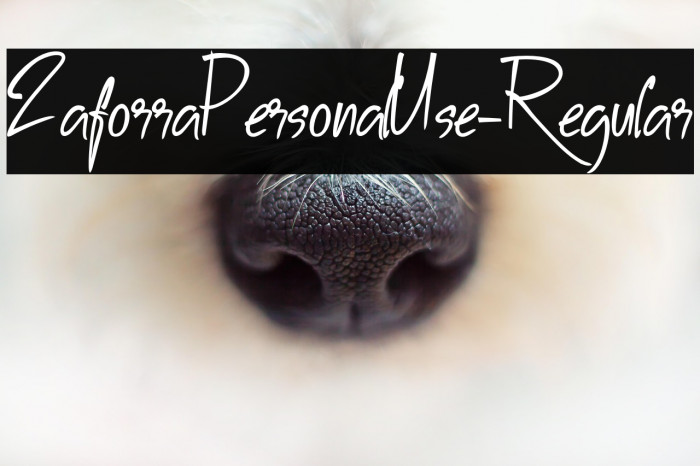 ZaforraPersonalUse-Regular Example 2