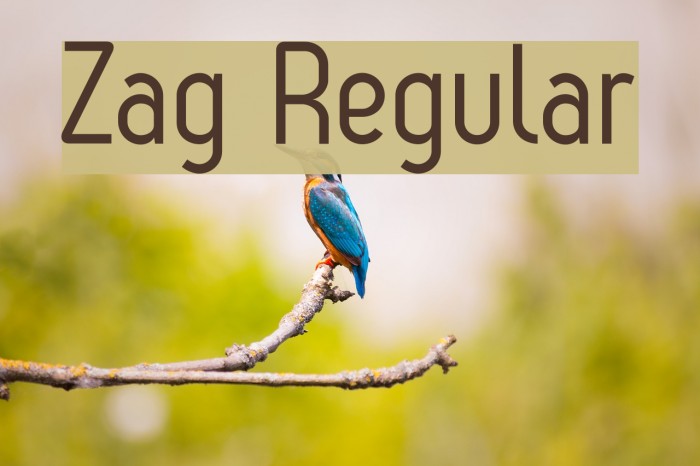 Zag Regular Example 1