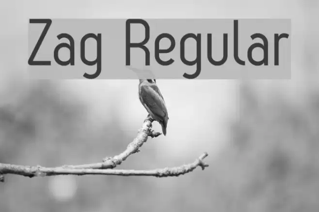 Zag Regular Font examples