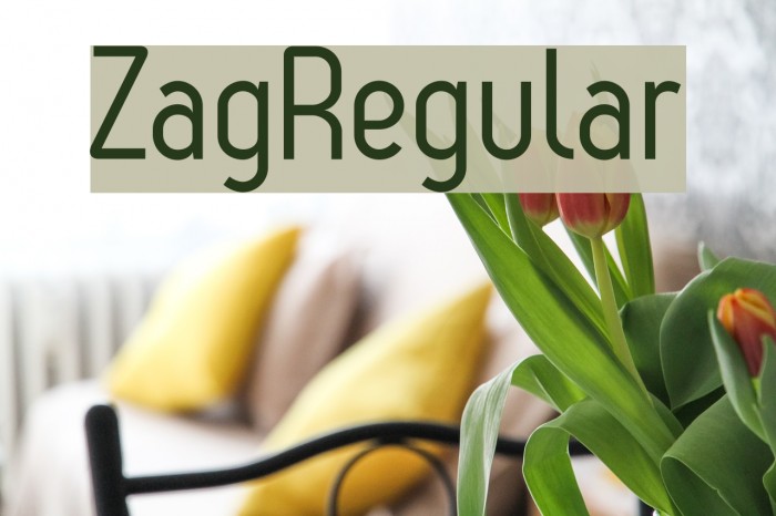 ZagRegular Font examples