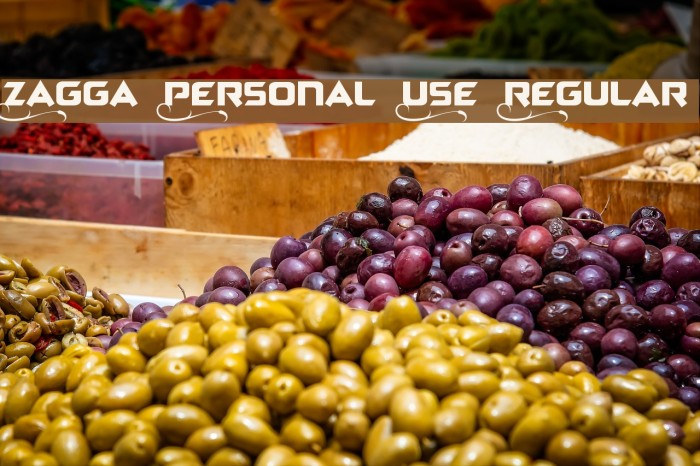 Zagga Personal Use Regular Schriftart examples