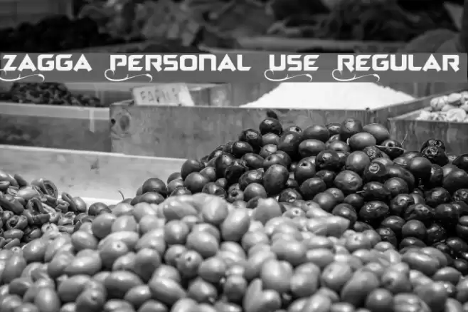 Zagga Personal Use Regular Schriftart examples