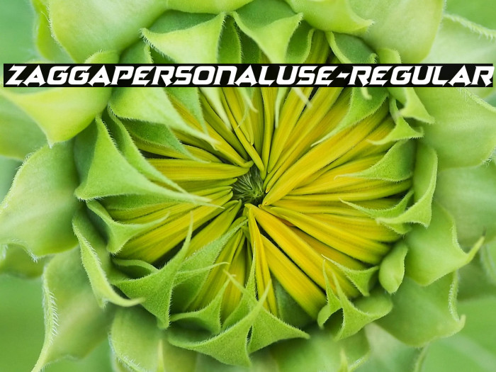 ZaggaPersonalUse-Regular Example 1