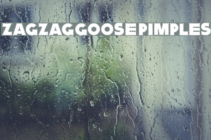 ZagzagGoosePimples Font examples