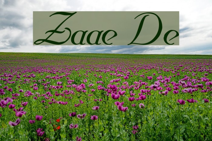 Zahariel Demo Font examples