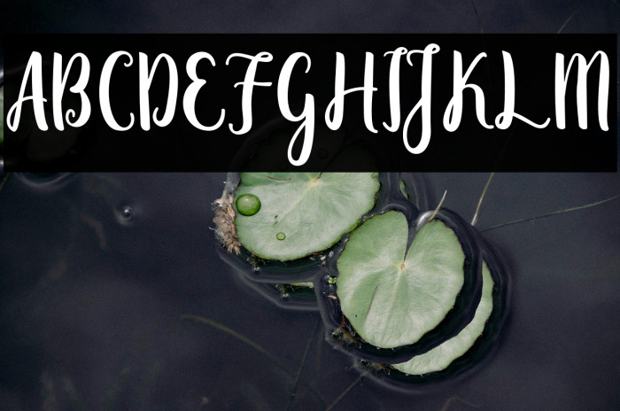 Zaheera - Demo Regular Example 1