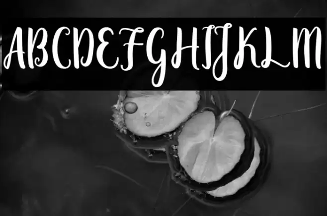 Zaheera - Demo Regular Font examples