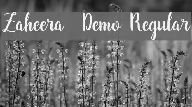 Zaheera - Demo Regular Font examples