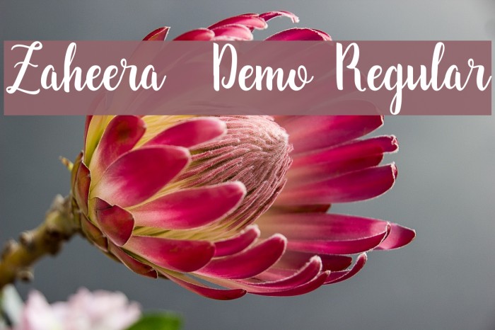 Zaheera - Demo Regular फ़ॉन्ट examples
