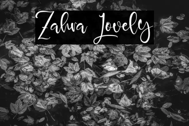 Zahra Lovely Font examples