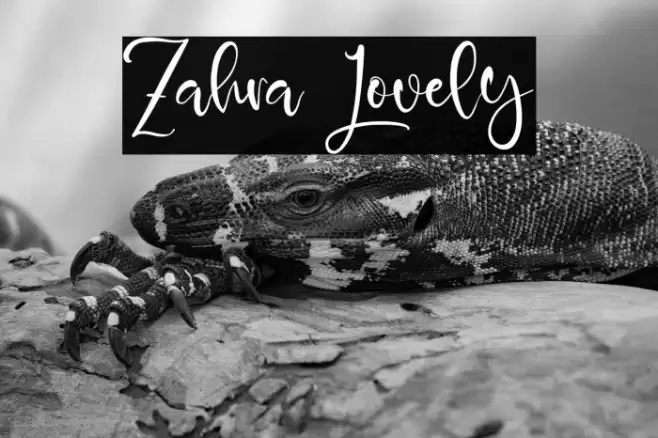 Zahra Lovely Font examples