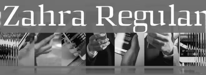 Zahra Regular Font examples