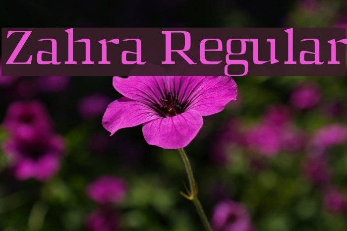 Zahra Regular Font examples