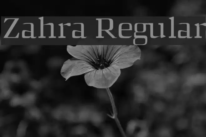 Zahra Regular Font examples