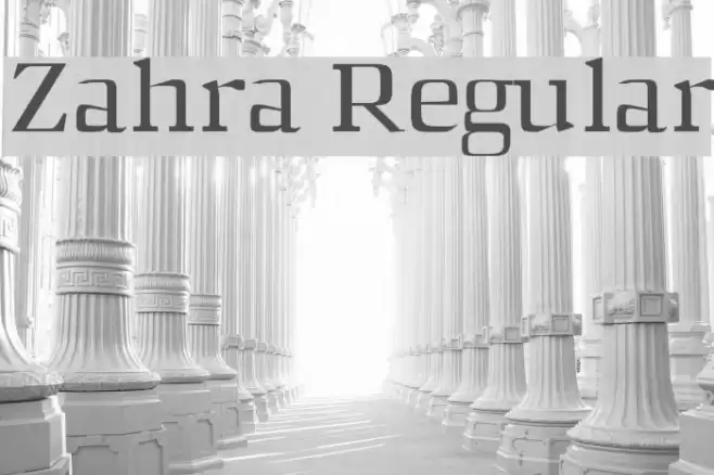 Zahra Regular Font examples