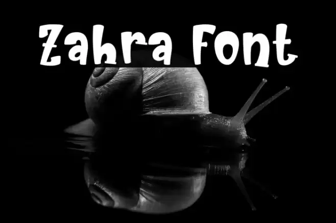 Zahra Caratteri examples