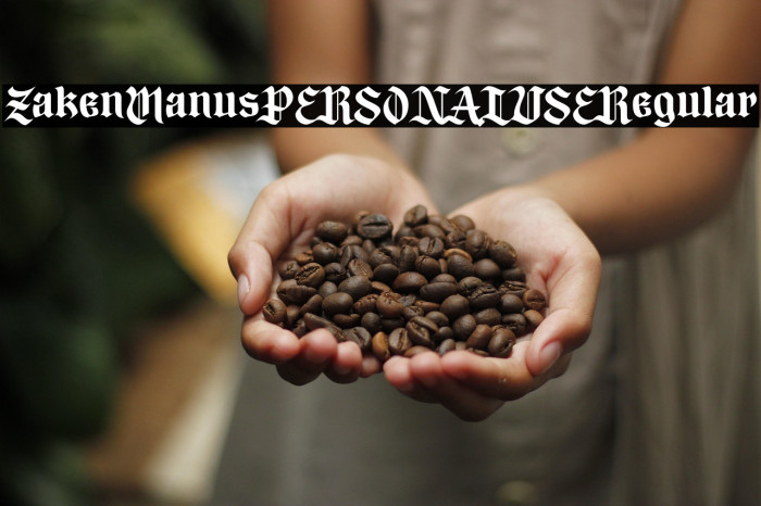 Zaken Manus PERSONAL USE Regular Example 1