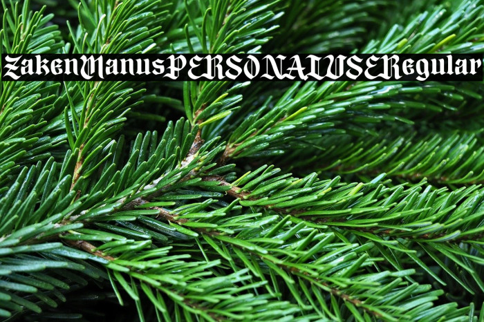 Zaken Manus PERSONAL USE Regular Example 3