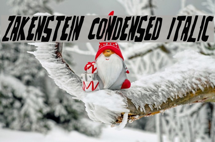 Zakenstein Condensed Italic Example 1