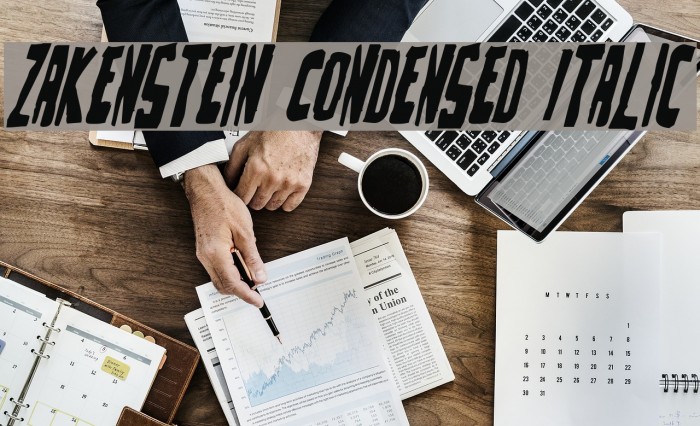 Zakenstein Condensed Italic Example 2