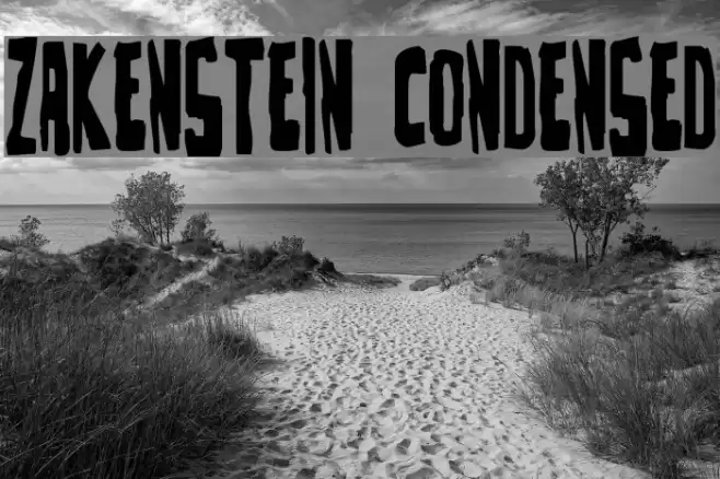 Zakenstein Condensed Font examples