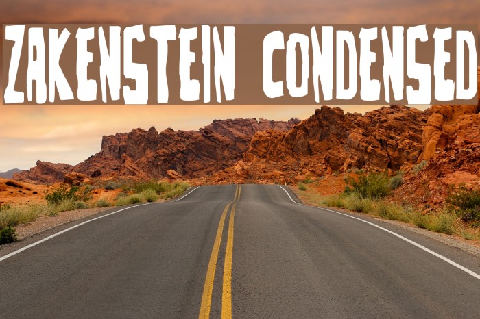 Zakenstein Condensed Font examples