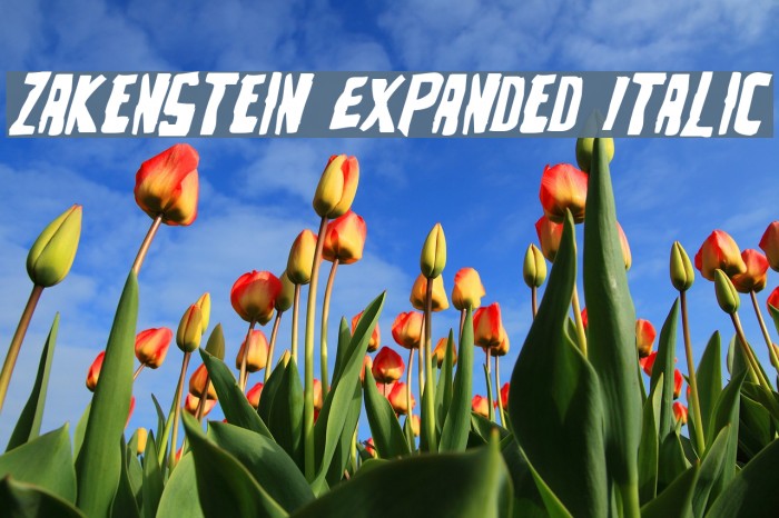 Zakenstein Expanded Italic Font examples