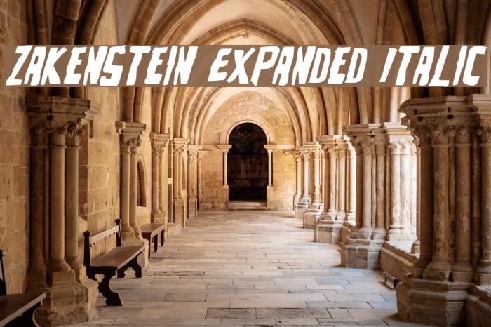 Zakenstein Expanded Italic Font examples