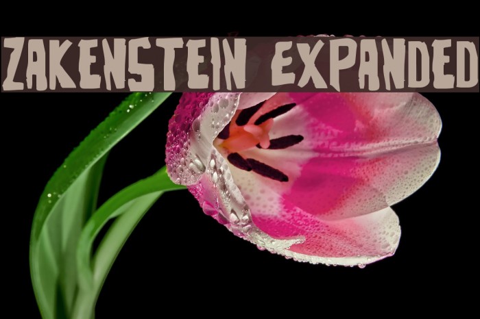 Zakenstein Expanded Example 1