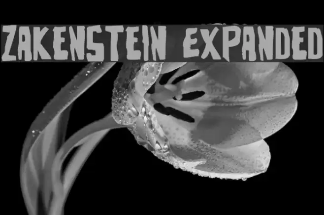 Zakenstein Expanded Font examples