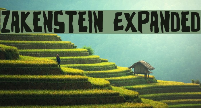 Zakenstein Expanded Example 3