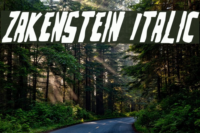 Zakenstein Italic Font examples