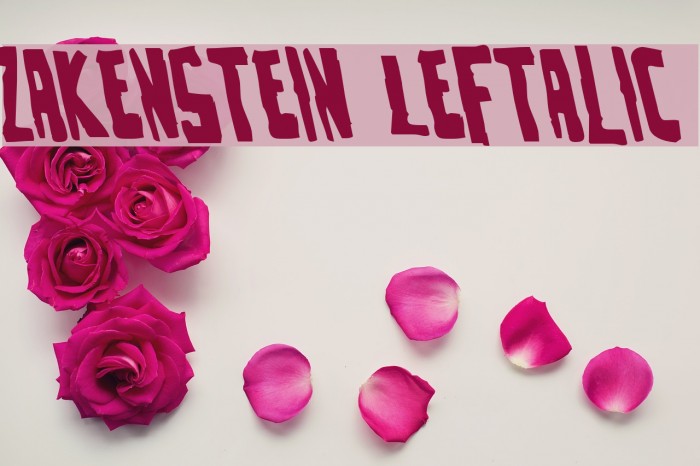 Zakenstein Leftalic Font examples