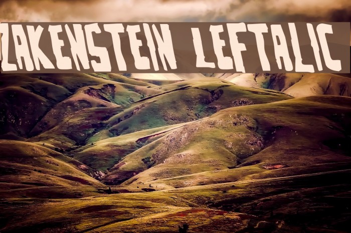 Zakenstein Leftalic Font examples