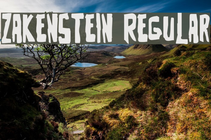 Zakenstein Regular Font examples