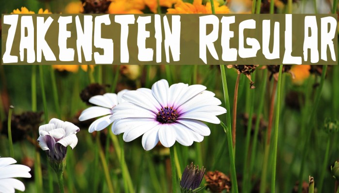 Zakenstein Regular Font examples