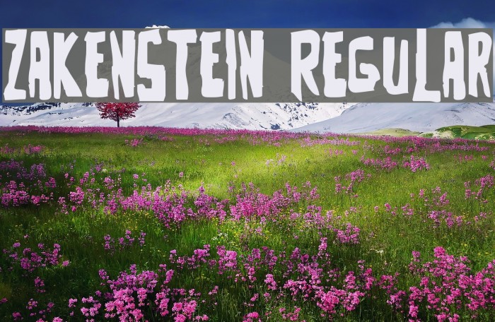 Zakenstein Regular Font examples