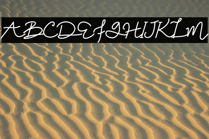 Zakilla DEMO Bold Example 2