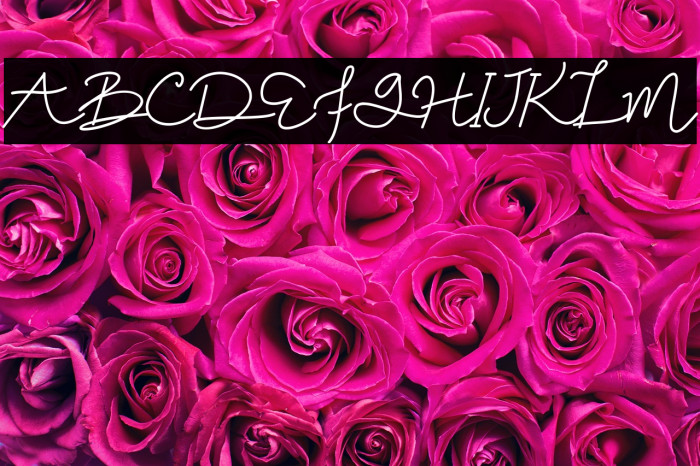 Zakilla DEMO Example 1