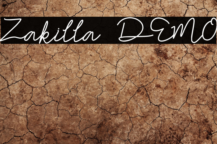 Zakilla DEMO Example 1