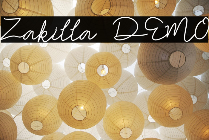 Zakilla DEMO Example 2