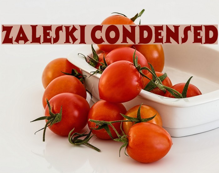 Zaleski Condensed Font examples