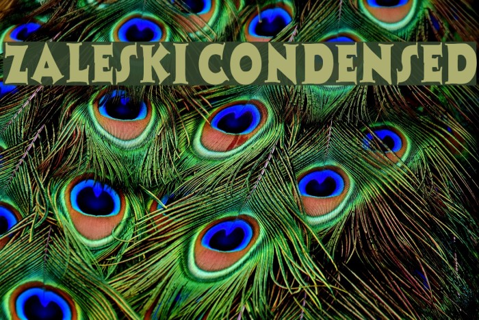 Zaleski Condensed Font examples