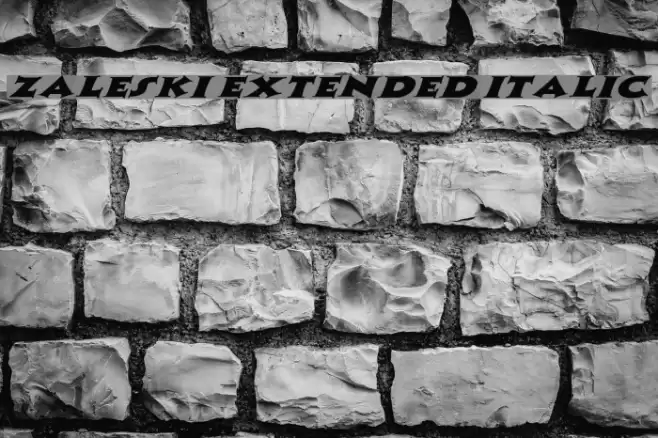 Zaleski Extended Italic Font examples