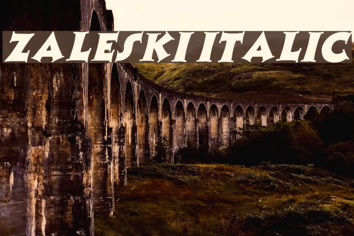 Zaleski Italic Font examples