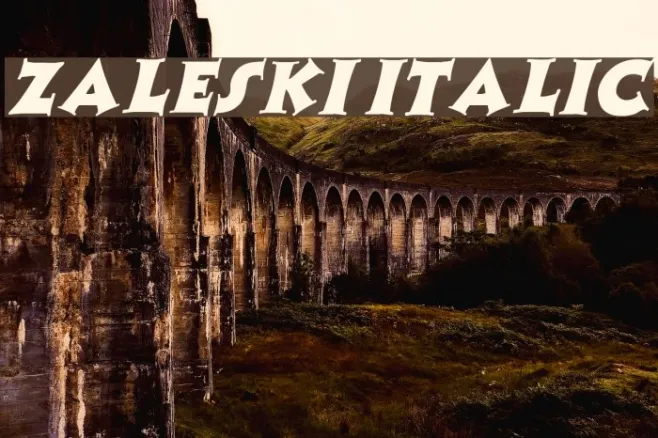 Zaleski Italic Example 1