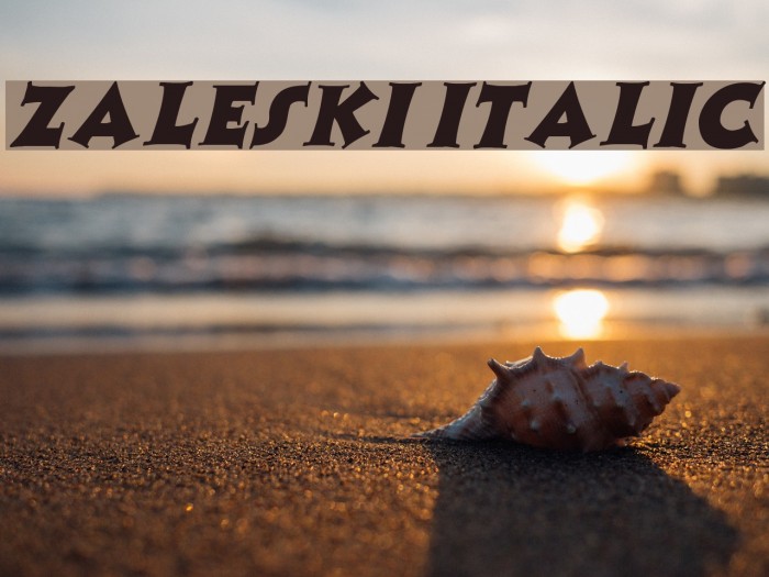 Zaleski Italic Font examples
