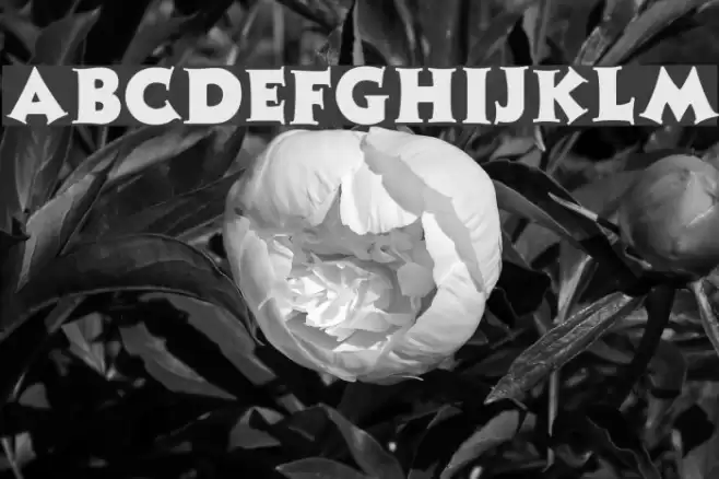 Zaleski Regular Font examples