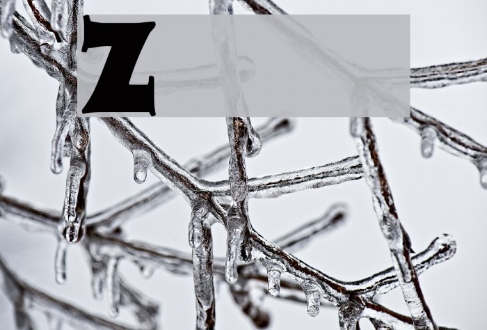 Zaleski Font examples